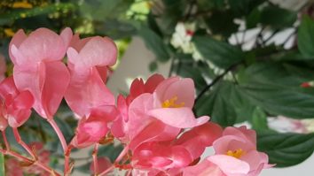 20181012_082149 (1024x576)