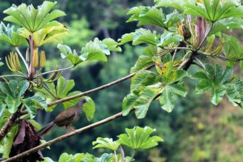 IMG_5175 (2) (1024x683)