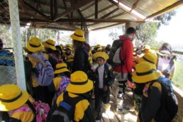 67217012_2383335505237296_3680845087874482176_o